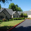 Emeritus at Hazel Creek