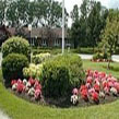 Emeritus at Bassett Manor