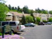 Belden Forest Court