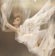 Angels on Wheels