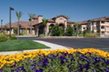 Carefree North Natomas