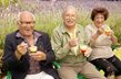 Emeritus at Summer Wind