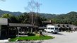 Twelve Oaks