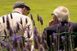Emeritus at Heritage Lodge