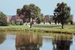 Oak Trace