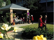 The Terrace - Willowbrook