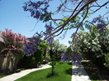 Dolce Vita Assisted Living